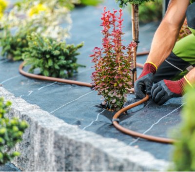 Servicios de jardinería en Toledo