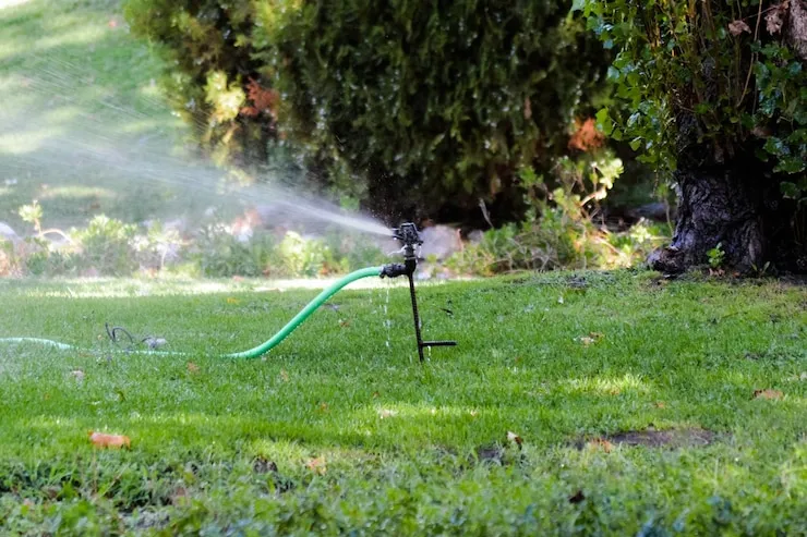 Mantenimiento de jardines en Toledo