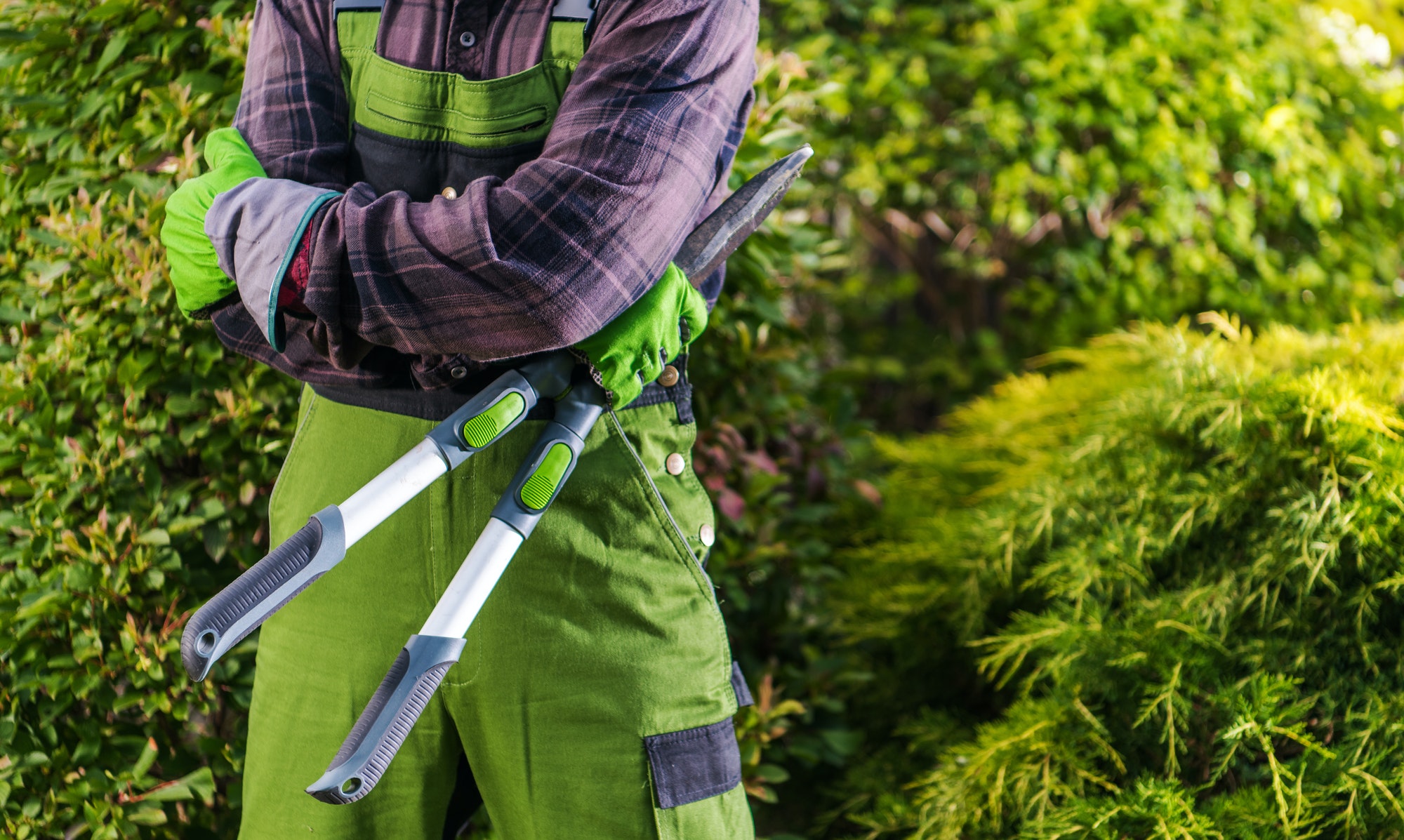 Servicios de jardinería en Toledo